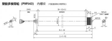 電動(dòng)輥筒 塑膠多楔帶輪（P9PJ43） 內螺紋 （可配置鋼制多楔帶輪）